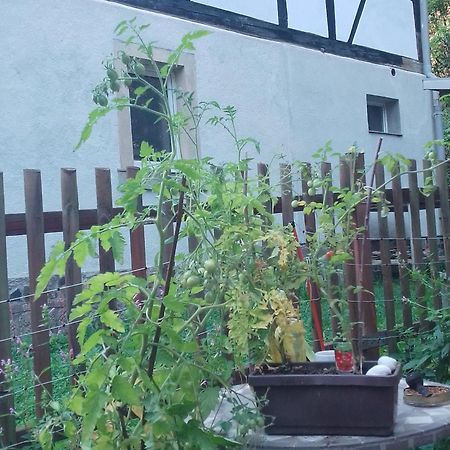 Zum Stillen Himmelbett In Lichtenwalde Niederwiesa Zewnętrze zdjęcie
