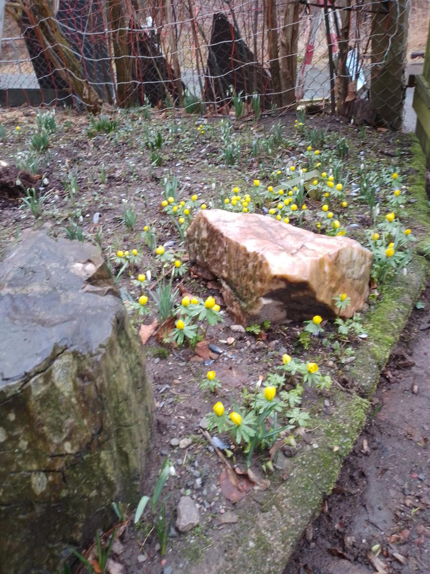Zum Stillen Himmelbett In Lichtenwalde Niederwiesa Zewnętrze zdjęcie
