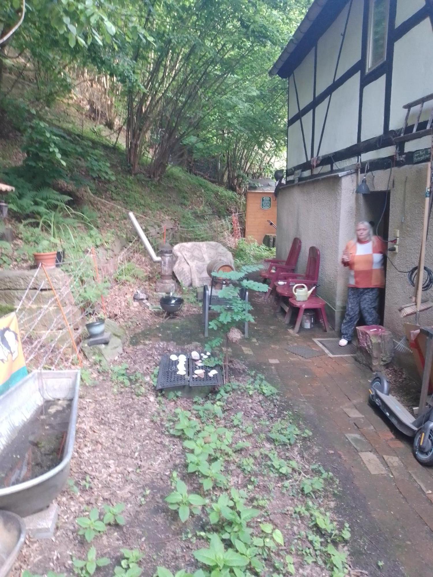 Zum Stillen Himmelbett In Lichtenwalde Niederwiesa Zewnętrze zdjęcie